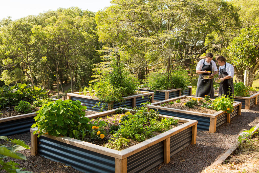Hotel Spicers Tamarind Retreat Maleny Exterior foto